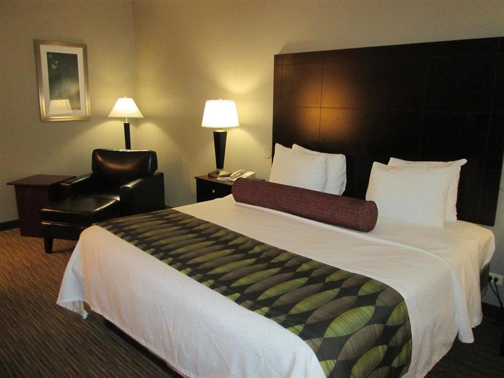 Best Western Plus O'Hare International South Hotel Franklin Park Oda fotoğraf